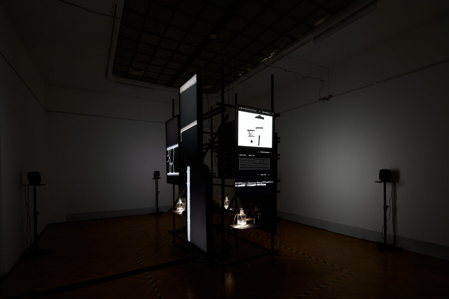 Interspecifics, Micro-rhythms V.4, foto Polina Davydenko